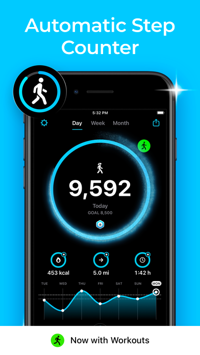 StepsApp screenshot one
