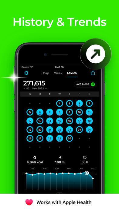 StepsApp screenshot three